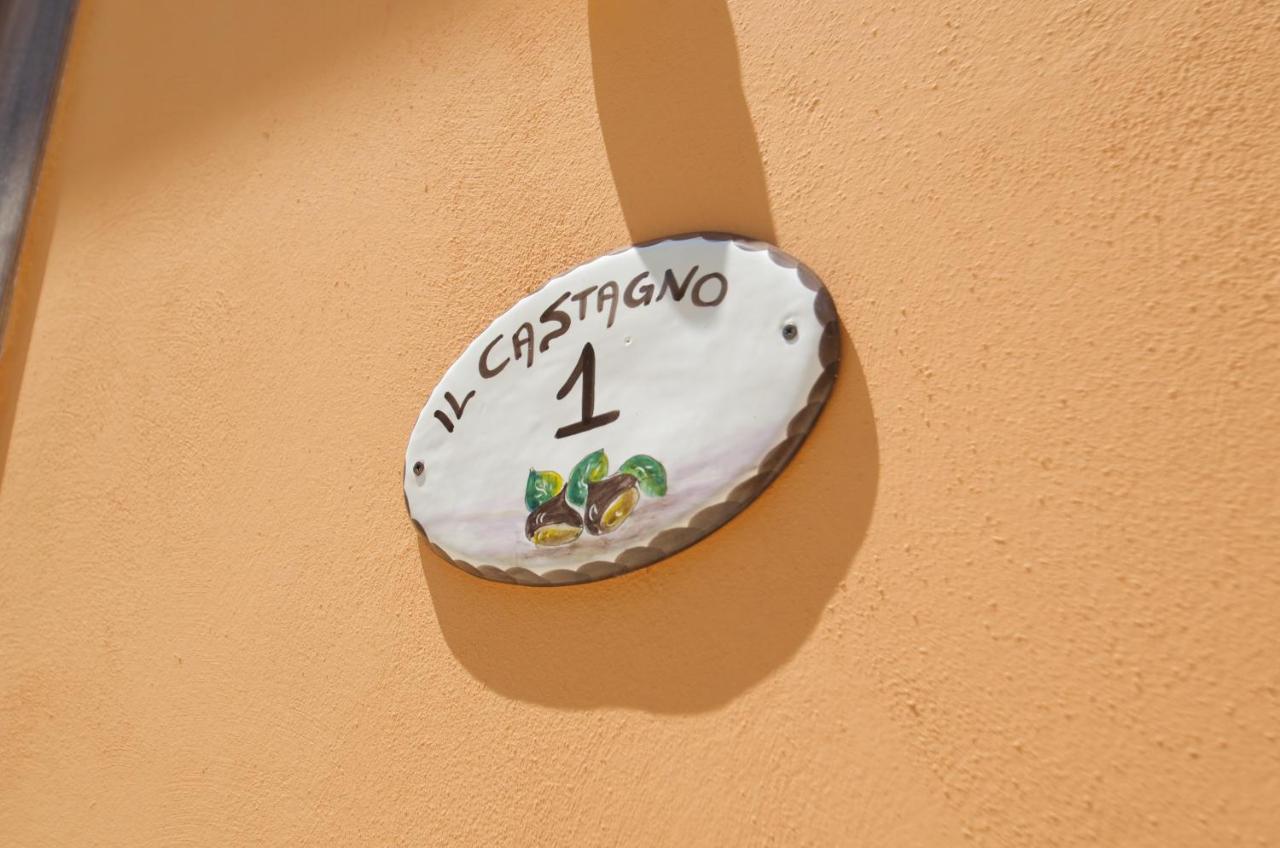 كامبانيا Rooms & Restaurant Il Castagneto المظهر الخارجي الصورة